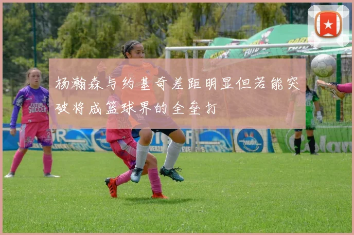 杨瀚森与约基奇差距明显但若能突破将成篮球界的全垒打