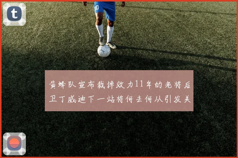 黄蜂队宣布裁掉效力11年的老将后卫丁威迪下一站将何去何从引发关注