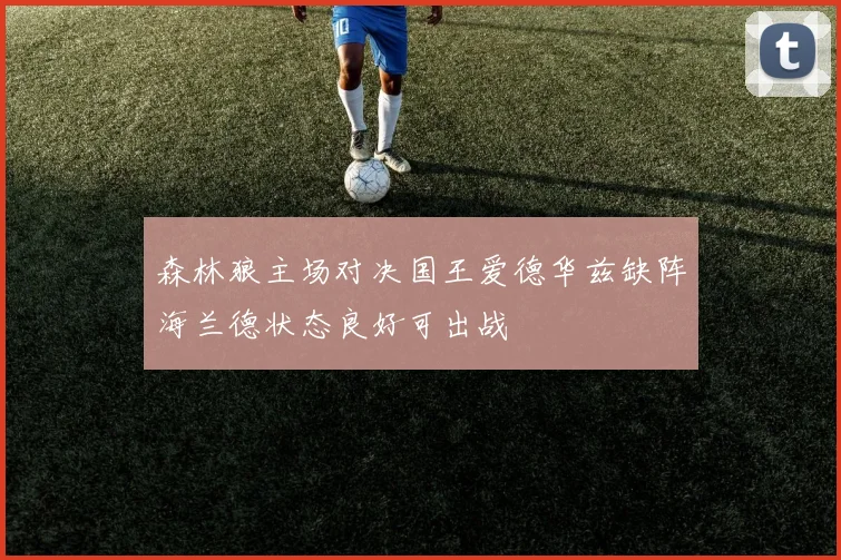 森林狼主场对决国王爱德华兹缺阵海兰德状态良好可出战